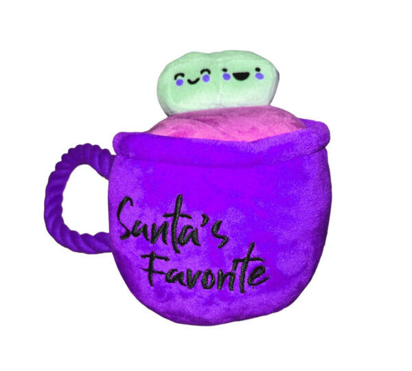 Hot Coco & Santa’s Favorite Toy